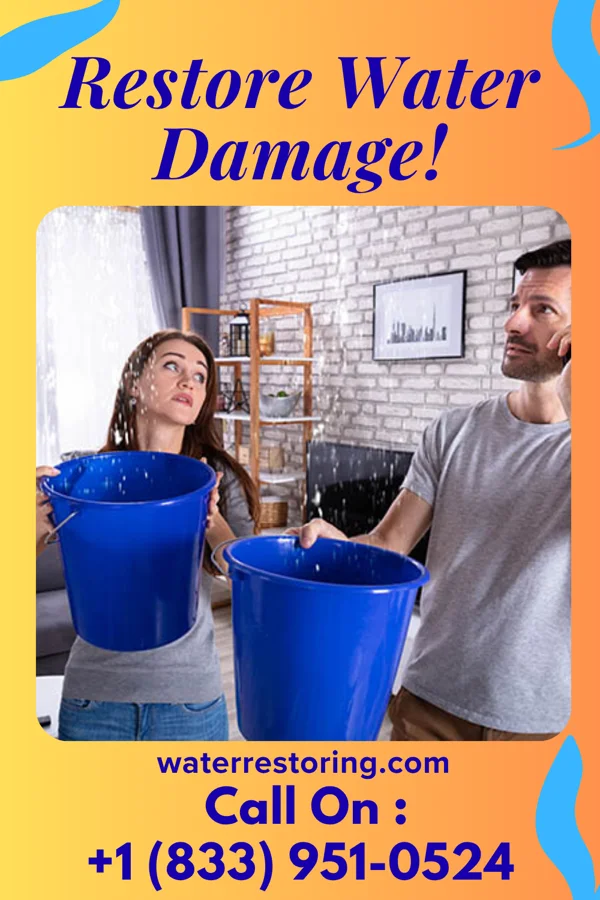 water restoration Prime Water Solutions & Sons Maplewood