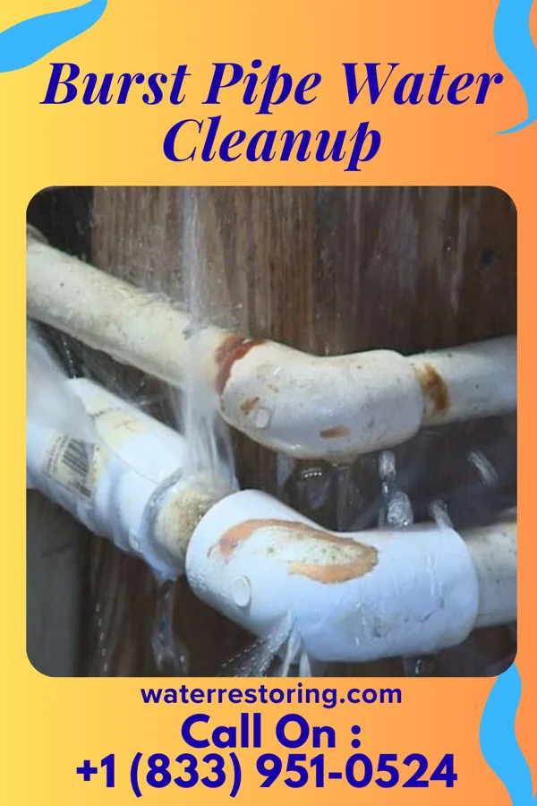 Burst Pipe Water Cleanup in Maplewood, MO