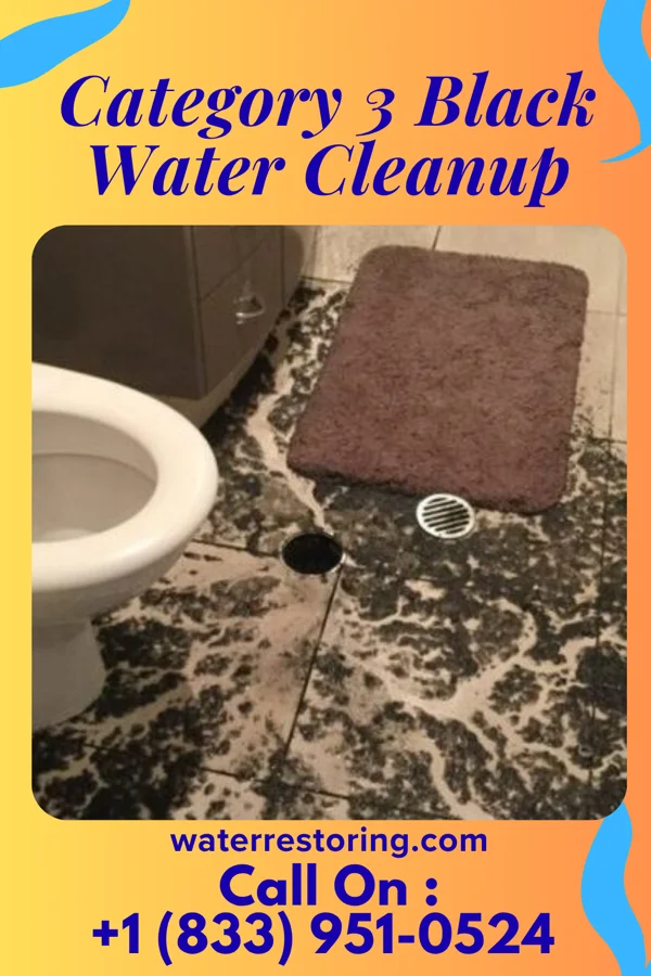 Category 3 Black Water Cleanup in Maplewood, MO
