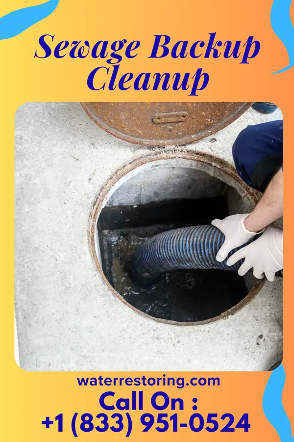 Sewage Backup Cleanup in Maplewood, MO