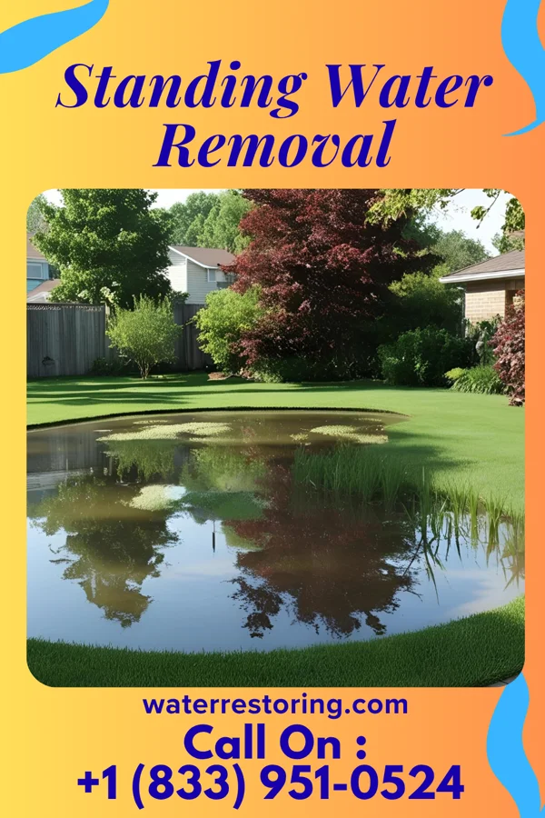 Standing Water Removal in Maplewood, MO